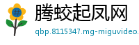 腾蛟起凤网